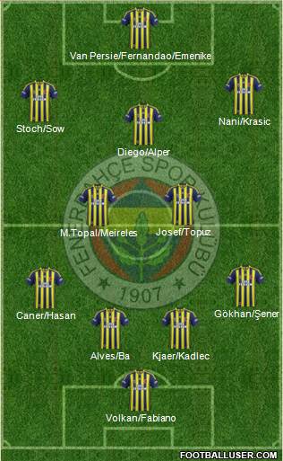 Fenerbahçe SK Formation 2015