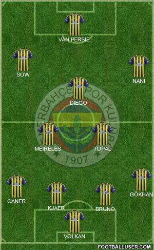 Fenerbahçe SK Formation 2015