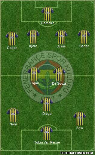 Fenerbahçe SK Formation 2015