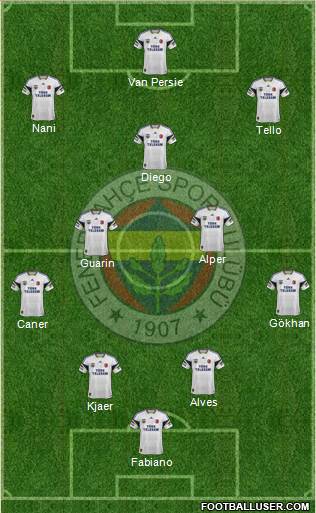 Fenerbahçe SK Formation 2015