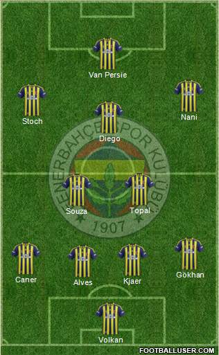 Fenerbahçe SK Formation 2015