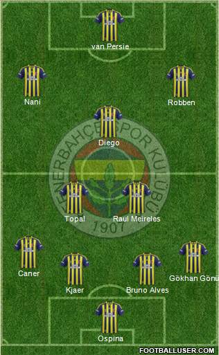 Fenerbahçe SK Formation 2015