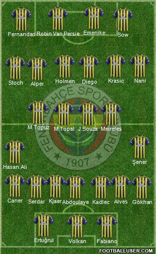 Fenerbahçe SK Formation 2015