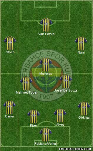 Fenerbahçe SK Formation 2015