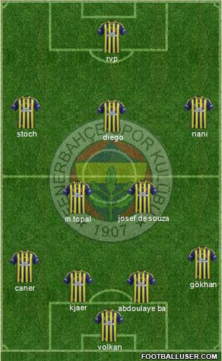 Fenerbahçe SK Formation 2015