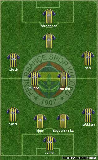 Fenerbahçe SK Formation 2015