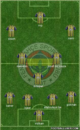 Fenerbahçe SK Formation 2015