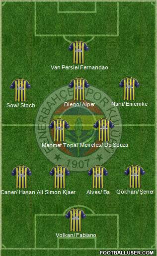 Fenerbahçe SK Formation 2015