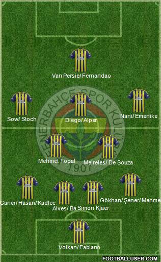 Fenerbahçe SK Formation 2015