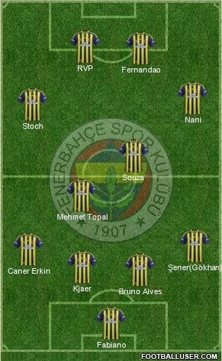 Fenerbahçe SK Formation 2015