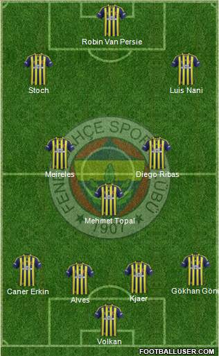 Fenerbahçe SK Formation 2015