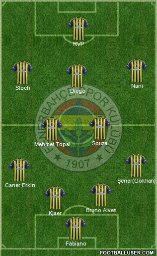 Fenerbahçe SK Formation 2015