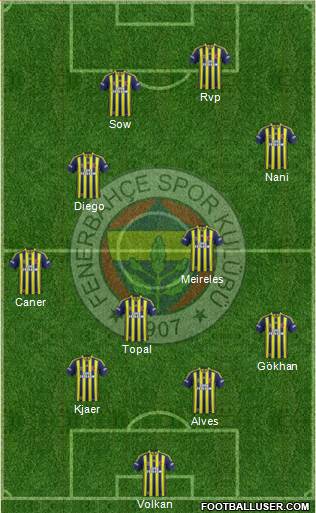 Fenerbahçe SK Formation 2015