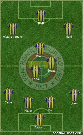 Fenerbahçe SK Formation 2015