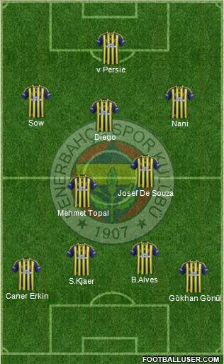 Fenerbahçe SK Formation 2015