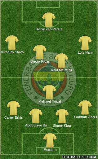 Fenerbahçe SK Formation 2015