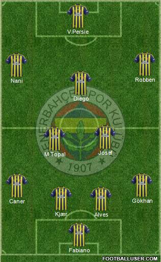 Fenerbahçe SK Formation 2015