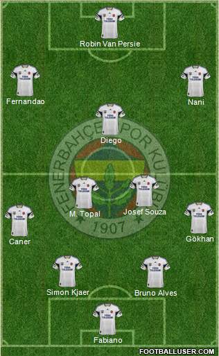 Fenerbahçe SK Formation 2015