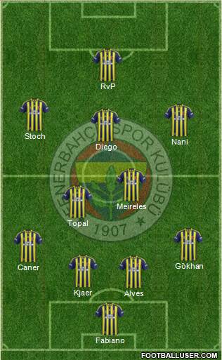Fenerbahçe SK Formation 2015