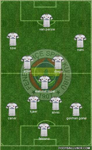 Fenerbahçe SK Formation 2015