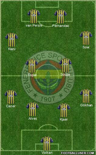 Fenerbahçe SK Formation 2015