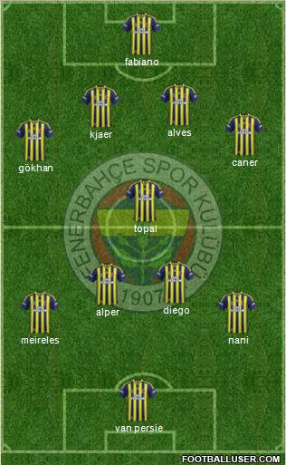 Fenerbahçe SK Formation 2015