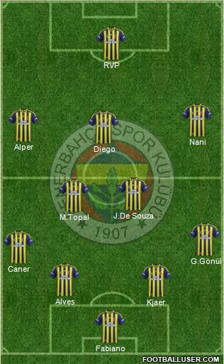 Fenerbahçe SK Formation 2015