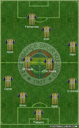 Fenerbahçe SK Formation 2015
