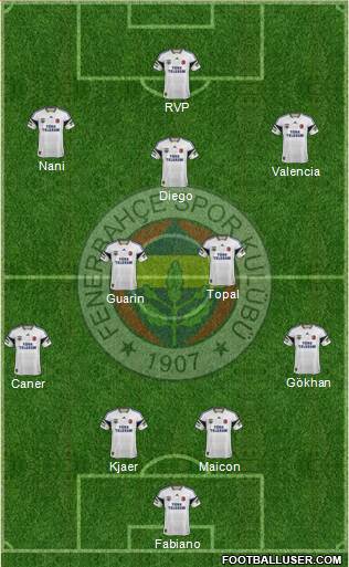Fenerbahçe SK Formation 2015