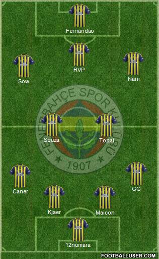 Fenerbahçe SK Formation 2015