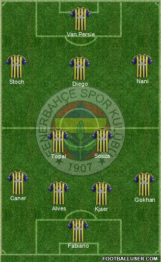 Fenerbahçe SK Formation 2015
