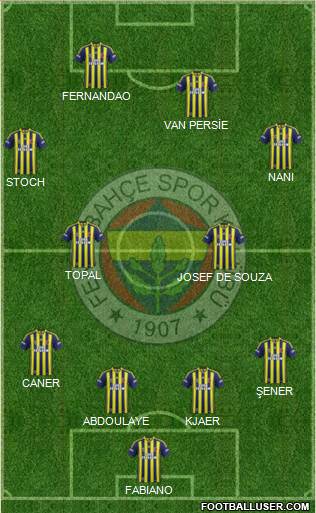 Fenerbahçe SK Formation 2015