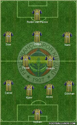 Fenerbahçe SK Formation 2015