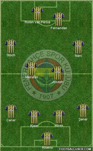 Fenerbahçe SK Formation 2015