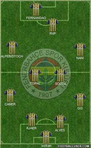 Fenerbahçe SK Formation 2015