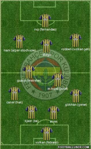 Fenerbahçe SK Formation 2015