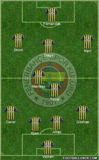 Fenerbahçe SK Formation 2015