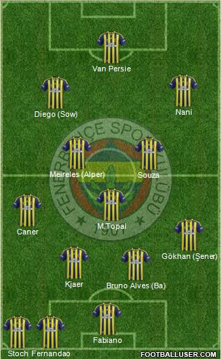 Fenerbahçe SK Formation 2015