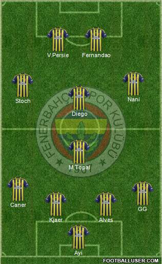 Fenerbahçe SK Formation 2015