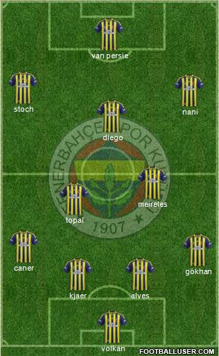 Fenerbahçe SK Formation 2015