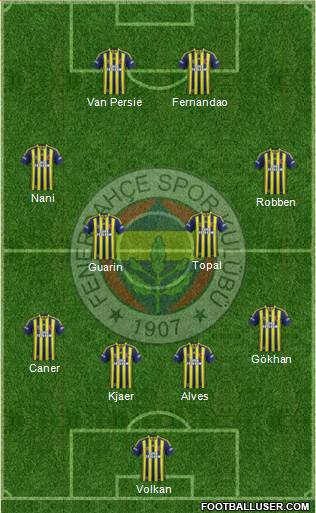 Fenerbahçe SK Formation 2015