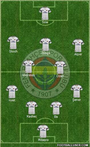 Fenerbahçe SK Formation 2015
