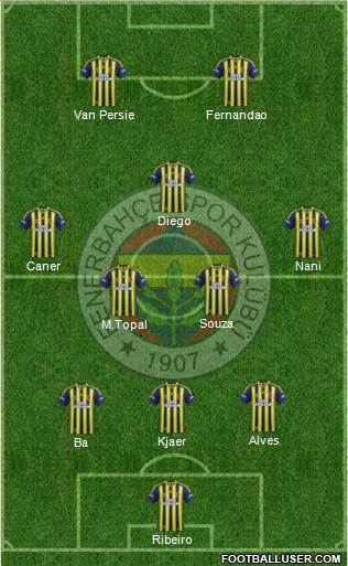 Fenerbahçe SK Formation 2015