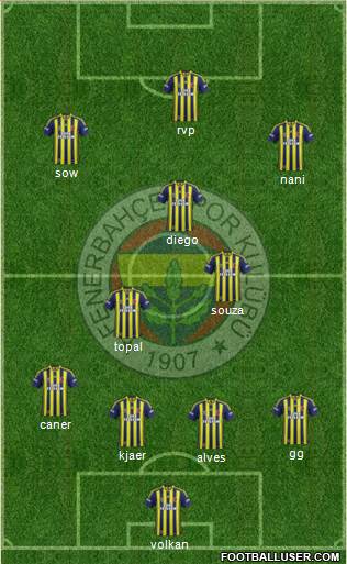 Fenerbahçe SK Formation 2015