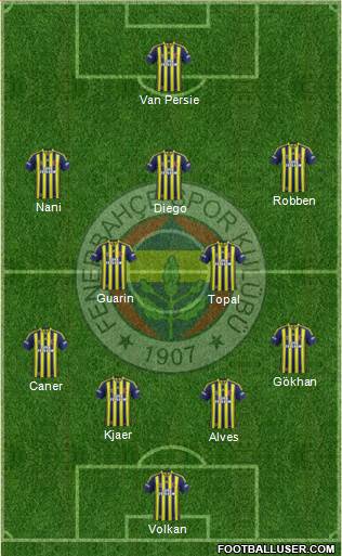 Fenerbahçe SK Formation 2015