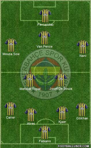 Fenerbahçe SK Formation 2015
