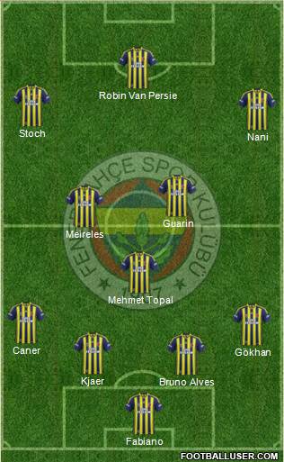 Fenerbahçe SK Formation 2015