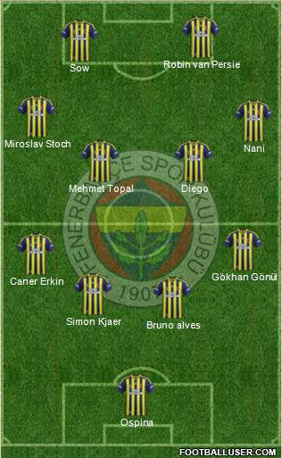Fenerbahçe SK Formation 2015