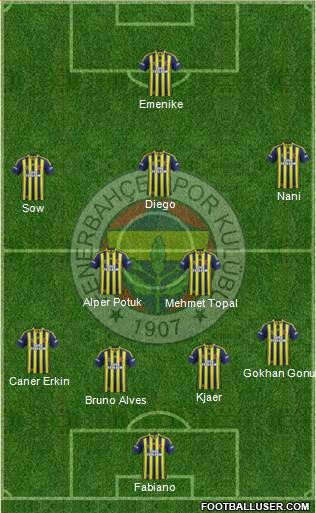 Fenerbahçe SK Formation 2015