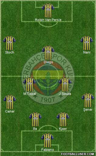 Fenerbahçe SK Formation 2015